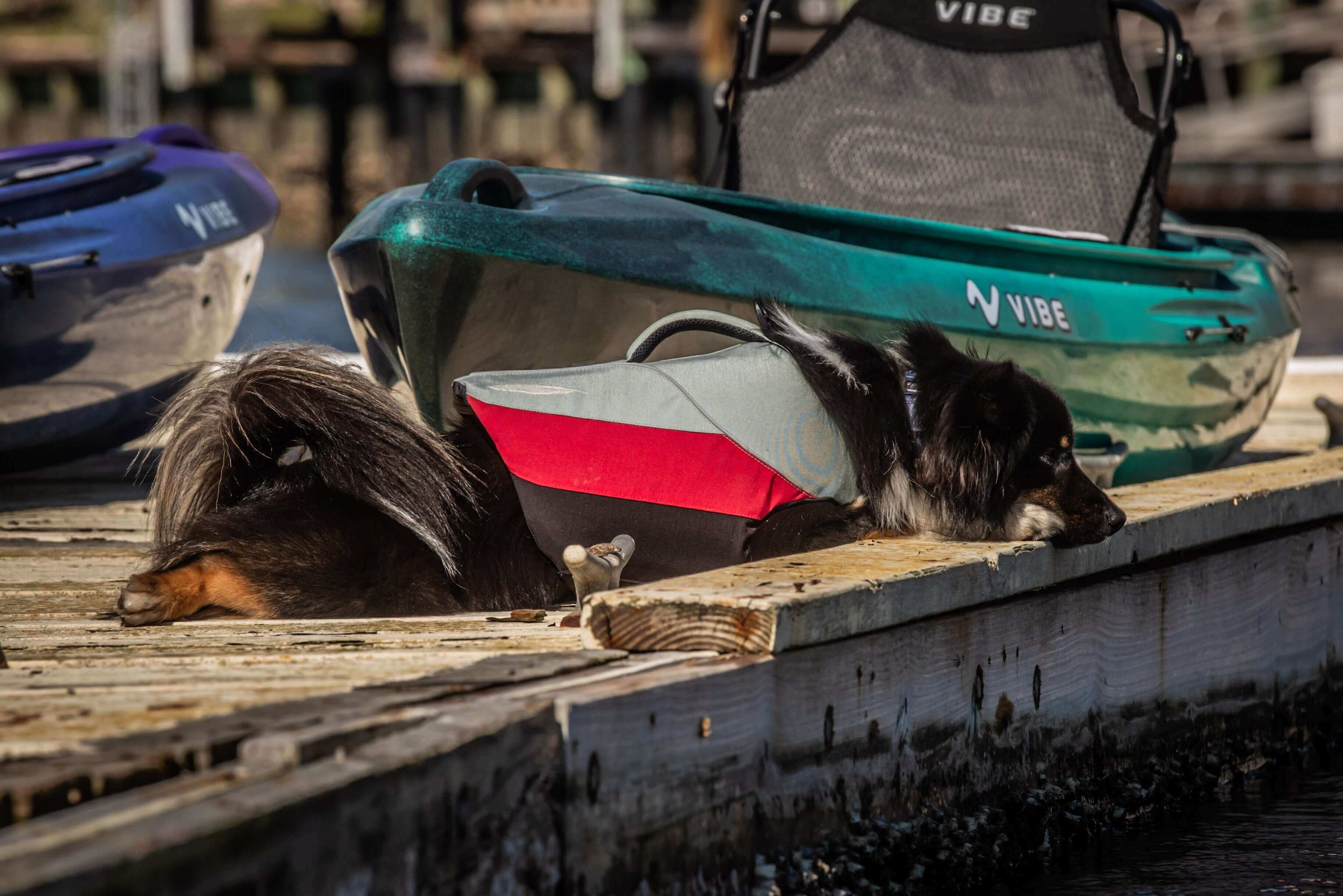 Vibe Kayak Shaka 100